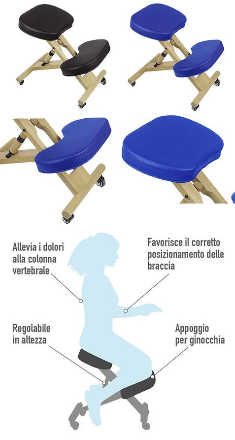 informazioni su sedia ergonomica, colore blu e nero